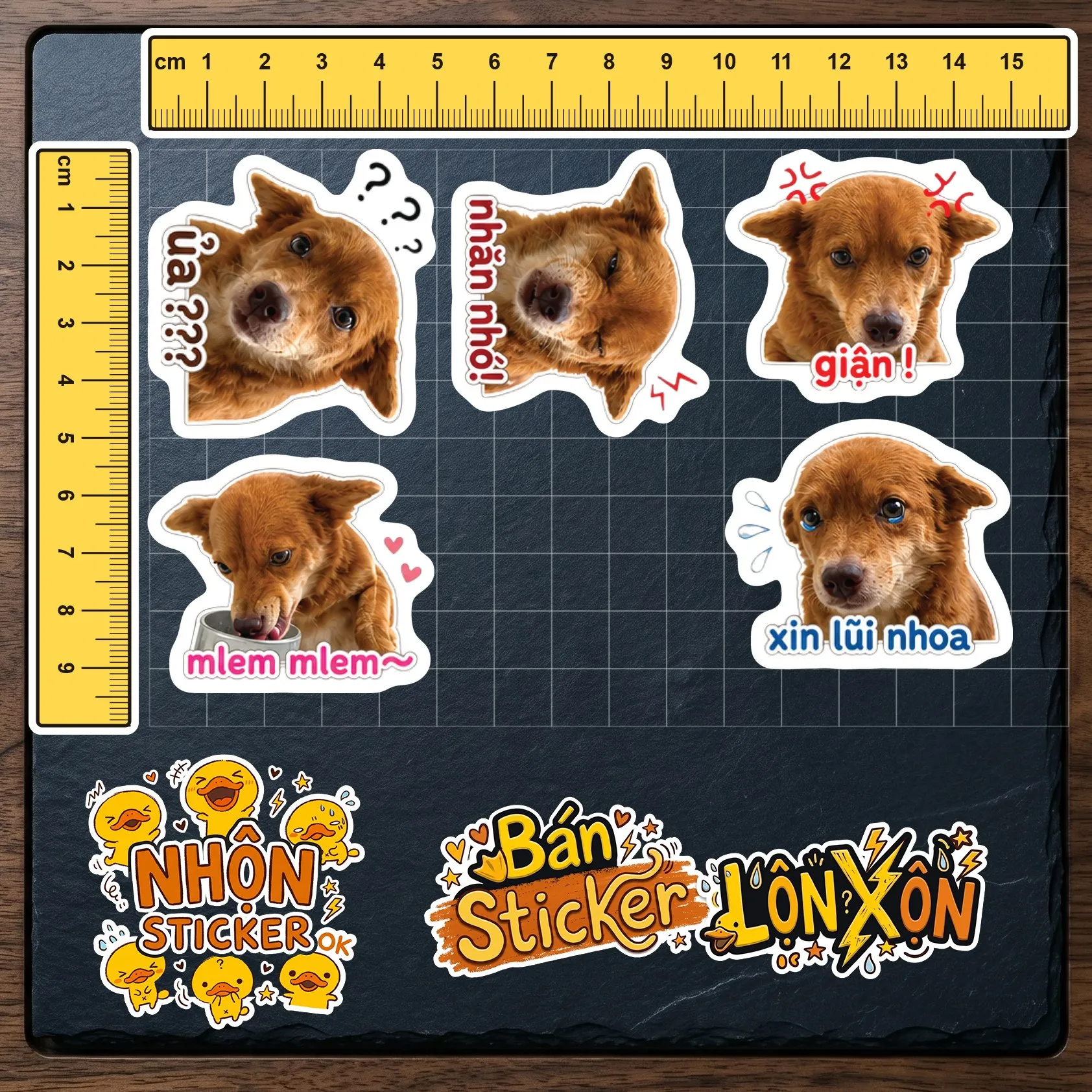 Mẫu sticker custom nhiều hình ảnh